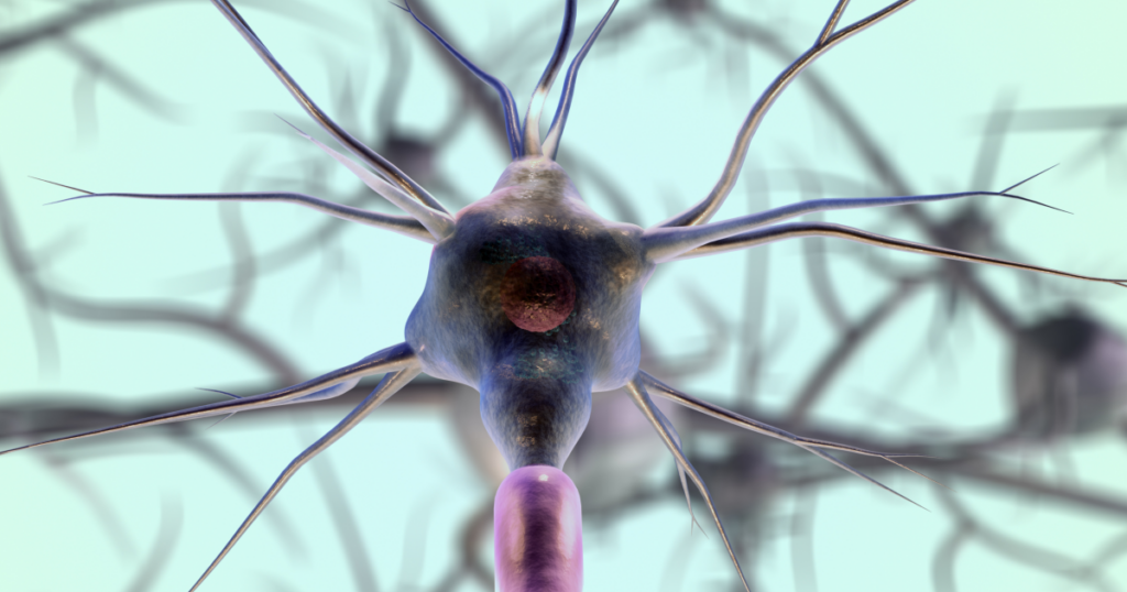 Weight loss peptides act on receptors in the brain to alter mood and behaviour