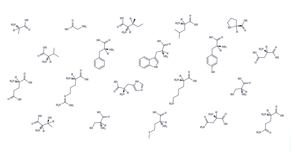 Peptides can be manufactured using recombinant organisms and SPPS