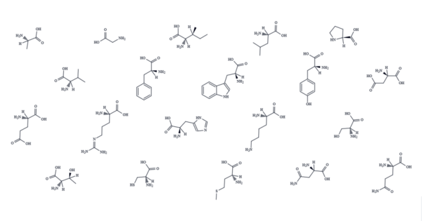 Peptides can be manufactured using recombinant organisms and SPPS
