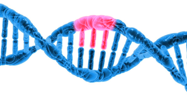 Can HGH increase cancer risk?